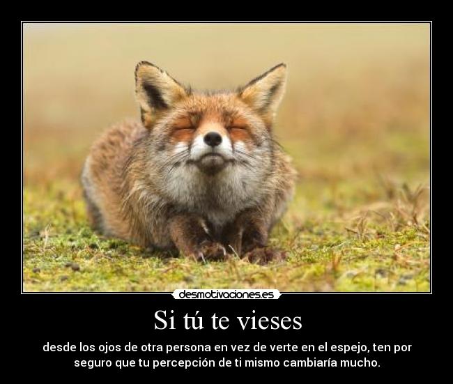Si tú te vieses - desde los ojos de otra persona en vez de verte en el espejo, ten por
seguro que tu percepción de ti mismo cambiaría mucho.