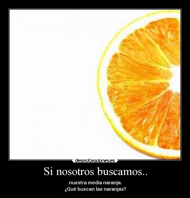 Si nosotros buscamos.. - nuestra media naranja.
¿Qué buscan las naranjas?