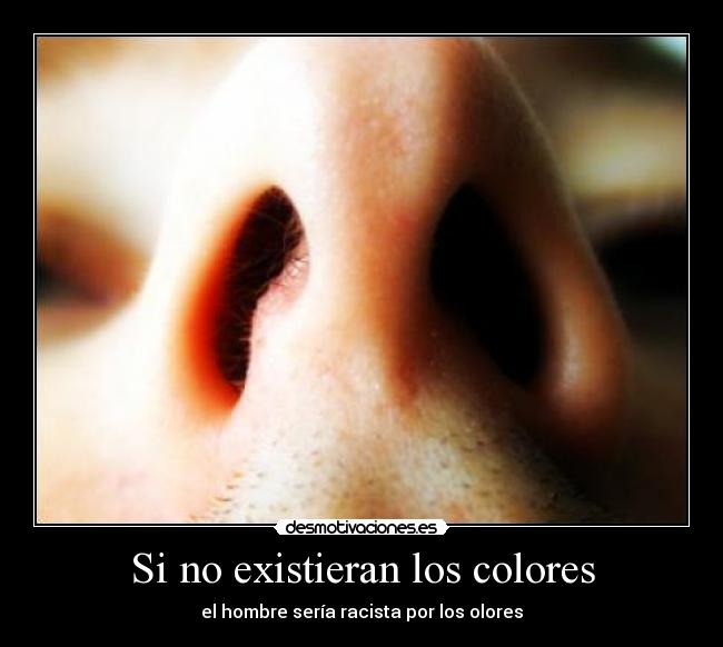 Si no existieran los colores - el hombre sería racista por los olores