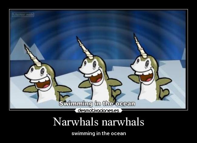 Narwhals narwhals -