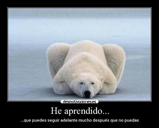 He aprendido... - ...que puedes seguir adelante mucho después que no puedas