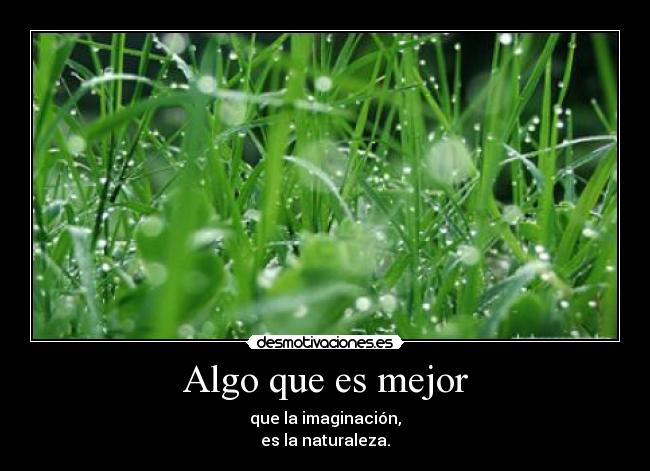 Algo que es mejor - que la imaginación,
es la naturaleza.