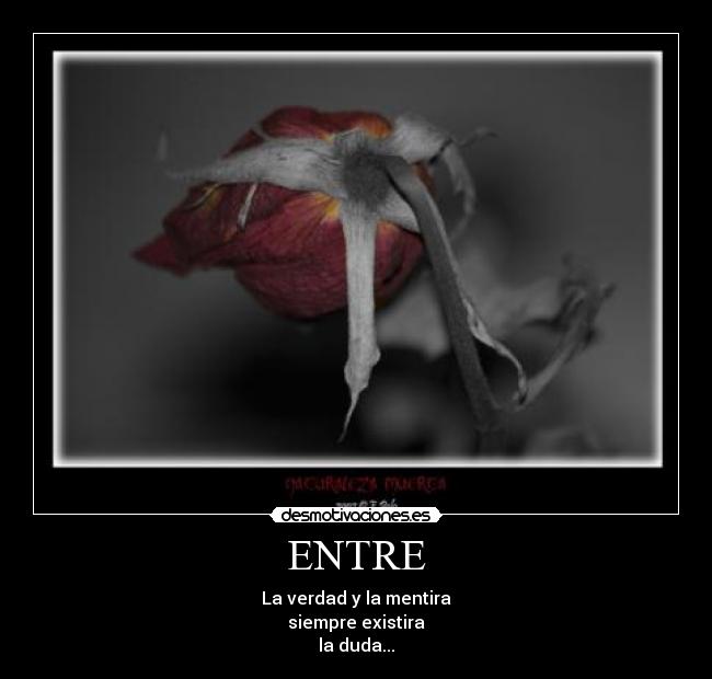 ENTRE - La verdad y la mentira
siempre existira
la duda...