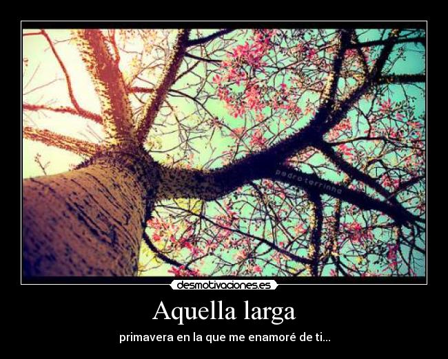 Aquella larga - primavera en la que me enamoré de ti...