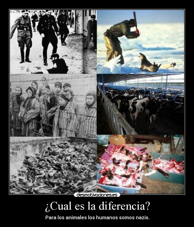 carteles nazis actualidad desmotivaciones
