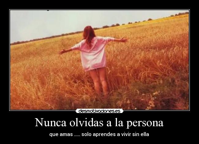 Nunca olvidas a la persona - que amas ..... solo aprendes a vivir sin ella