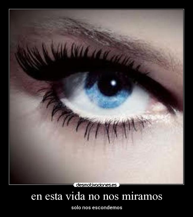 en esta vida no nos miramos - solo nos escondemos