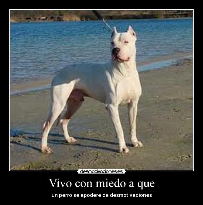 Vivo con miedo a que - 