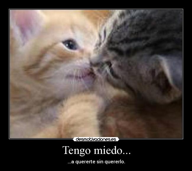 Tengo miedo... - ...a quererte sin quererlo.