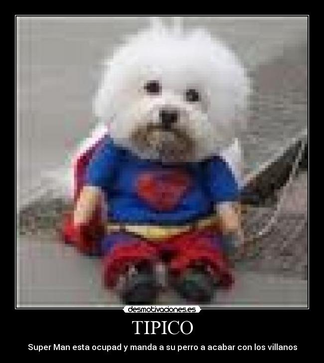 TIPICO - 