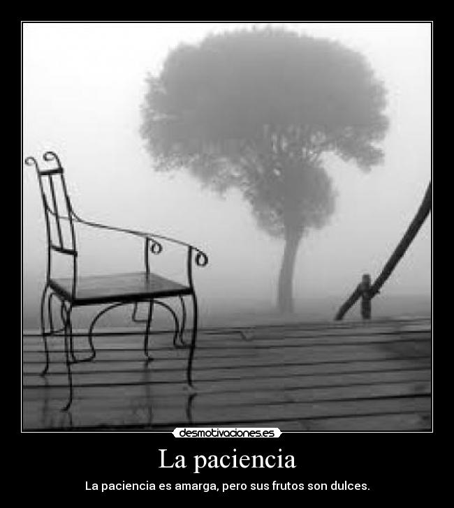 La paciencia - La paciencia es amarga, pero sus frutos son dulces.