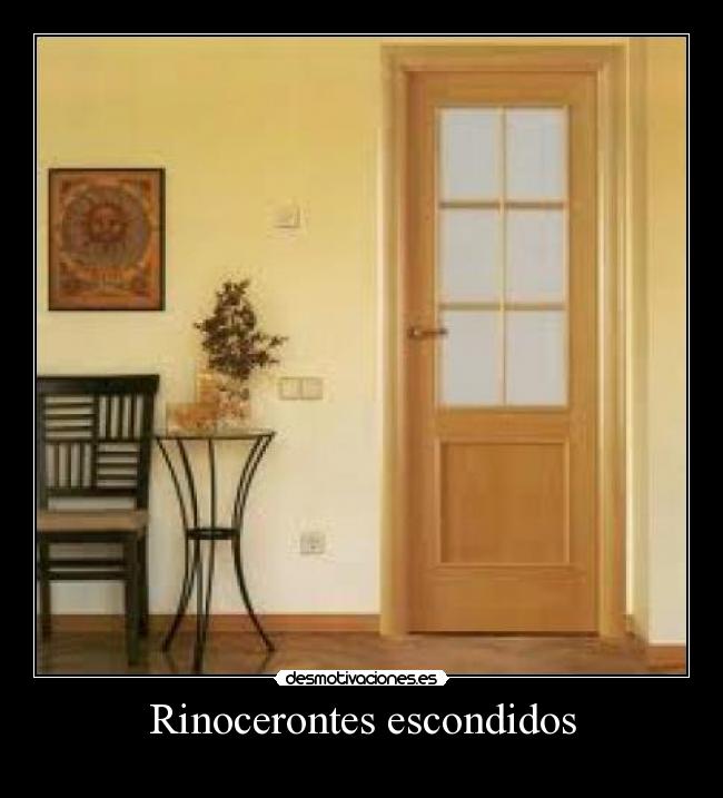 Rinocerontes escondidos - 