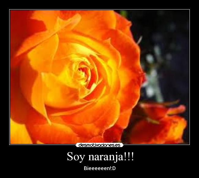 Soy naranja!!! - Bieeeeeen!:D