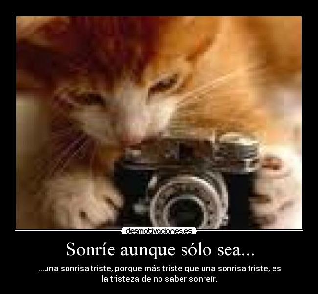 carteles sonrie gato desmotivaciones