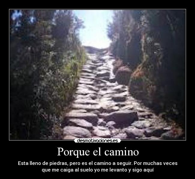 Porque el camino -
