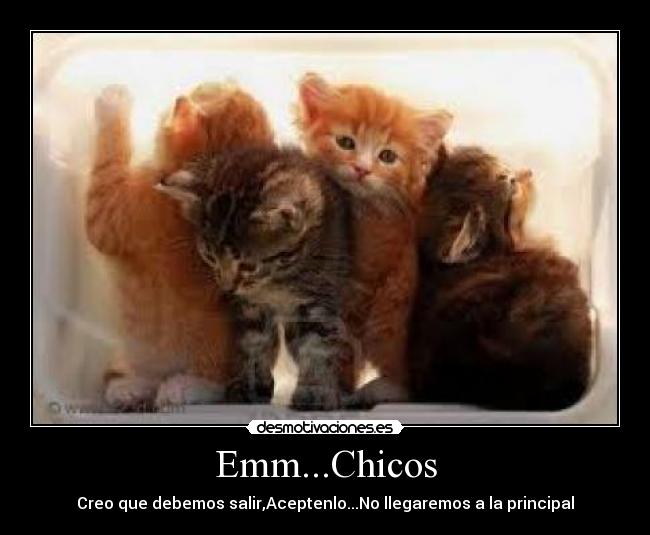 Emm...Chicos - Creo que debemos salir,Aceptenlo...No llegaremos a la principal