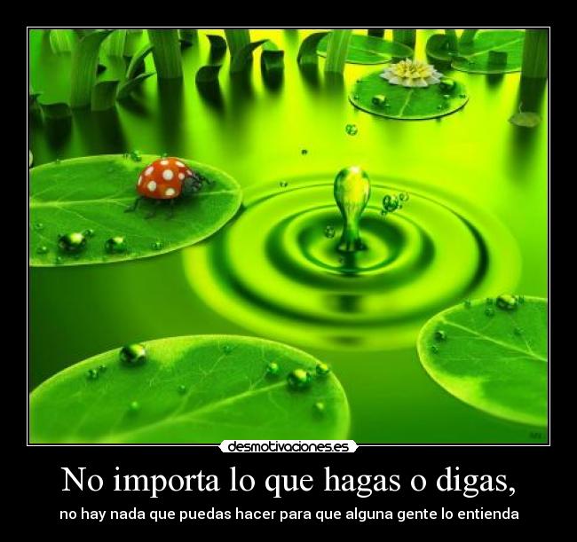 No importa lo que hagas o digas, - no hay nada que puedas hacer para que alguna gente lo entienda