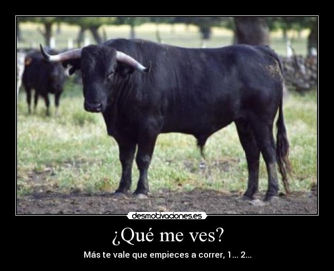 ¿Qué me ves? - Más te vale que empieces a correr, 1... 2...