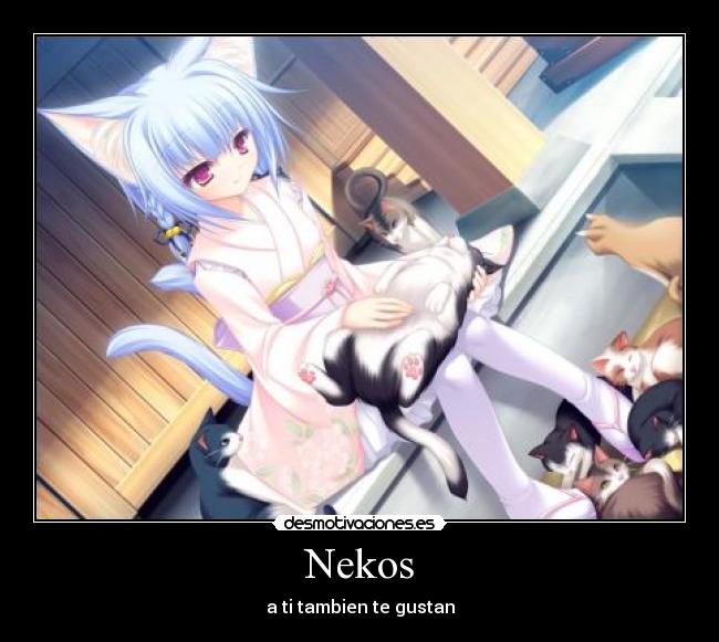 Nekos - a ti tambien te gustan