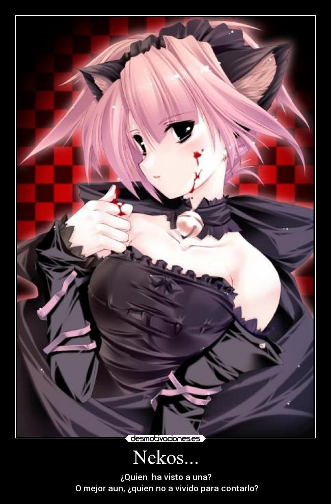 Nekos... -