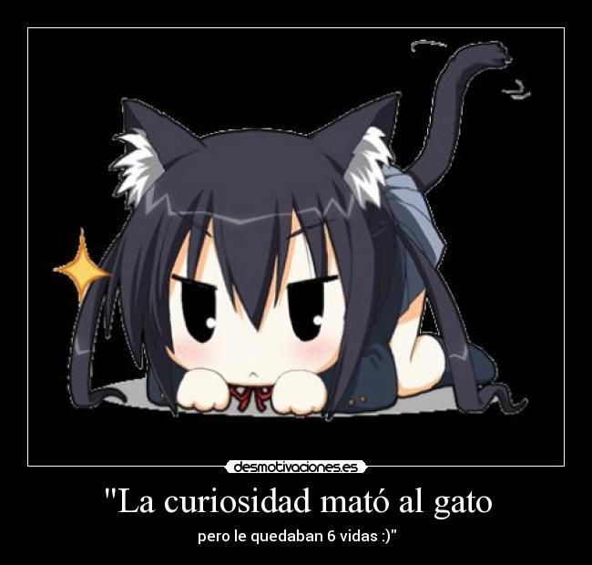 La curiosidad mató al gato - 