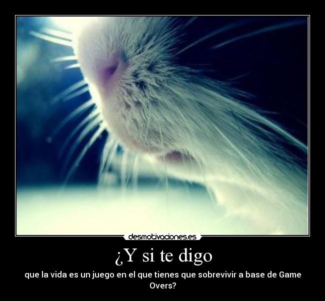 ¿Y si te digo - que la vida es un juego en el que tienes que sobrevivir a base de Game Overs?