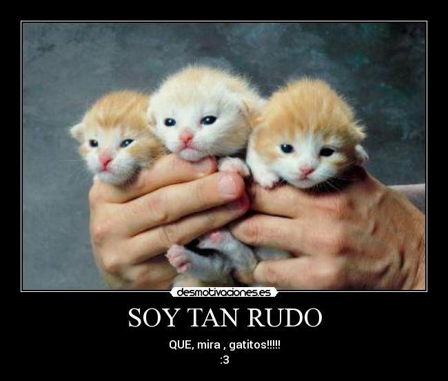 SOY TAN RUDO - 