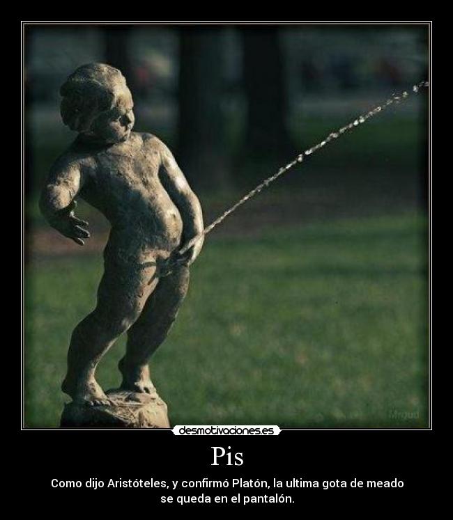 Pis - Como dijo Aristóteles, y confirmó Platón, la ultima gota de meado
se queda en el pantalón.