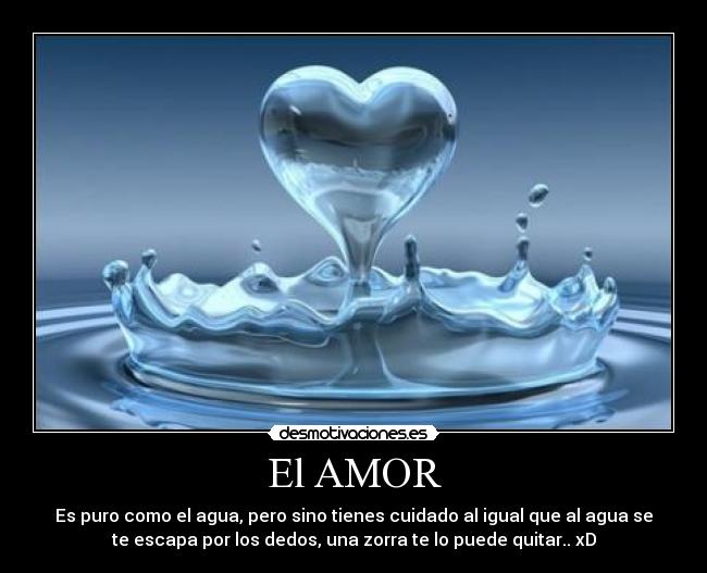 El AMOR - 