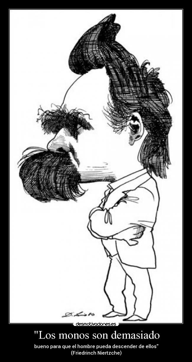 carteles los monos son demasiado bueno para que hombre pueda descender ellos desmotivaciones