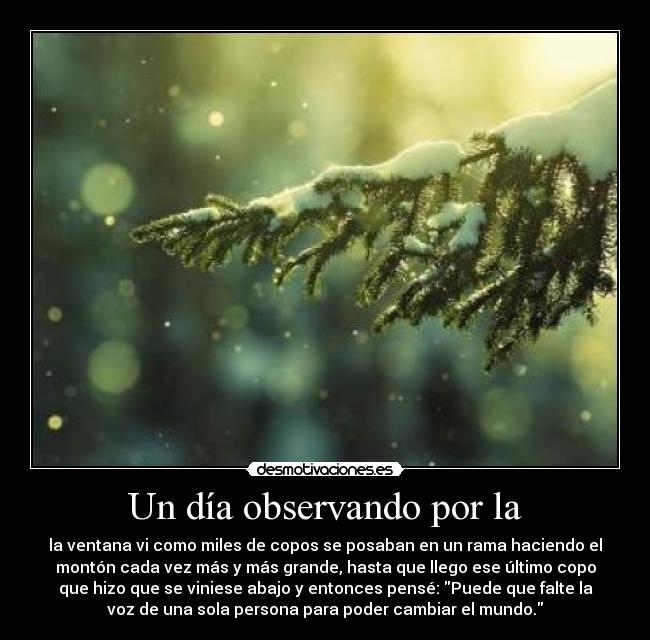 Un día observando por la - 