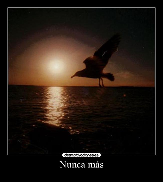 carteles night bird flying pajaro nocturno volador mar nunca mas nevermore acertijo facil eidos desmotivaciones