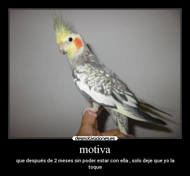 motiva - que después de 2 meses sin poder estar con ella , solo deje que yo la toque