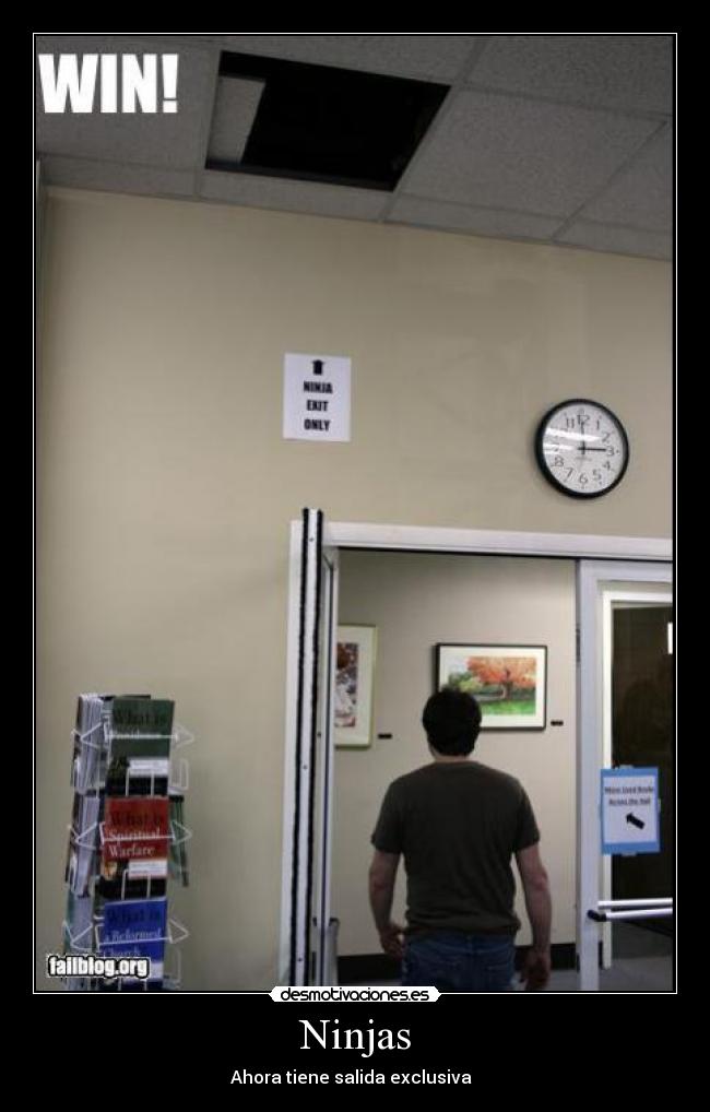 Ninjas - Ahora tiene salida exclusiva