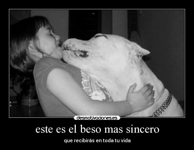 este es el beso mas sincero - que recibirás en toda tu vida