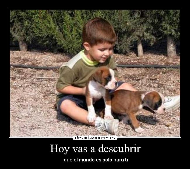 Hoy vas a descubrir Desmotivaciones Hoy vas a descubrir Desmotivaciones