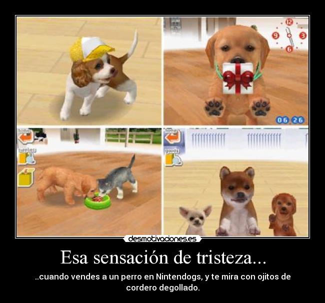 Esa sensación de tristeza... - ..cuando vendes a un perro en Nintendogs, y te mira con ojitos de cordero degollado.