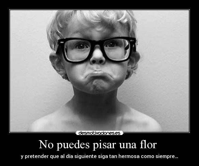 No puedes pisar una flor - y pretender que al día siguiente siga tan hermosa como siempre…