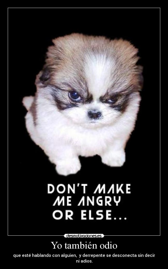 Yo también odio - que esté hablando con alguien, y derrepente se desconecta sin decir ni adios.