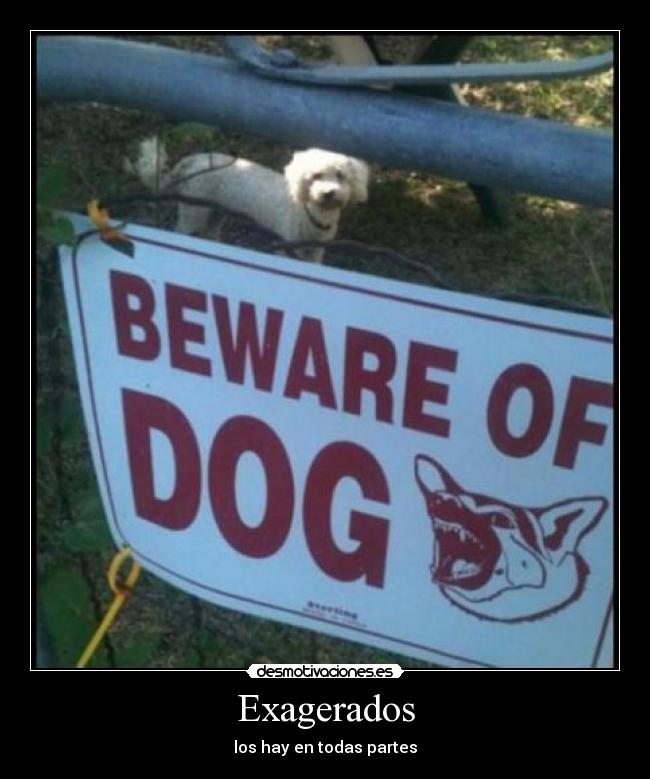Exagerados -