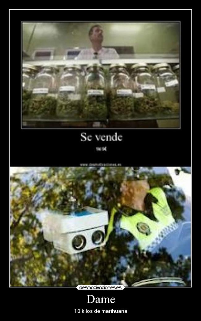 Dame - 10 kilos de marihuana