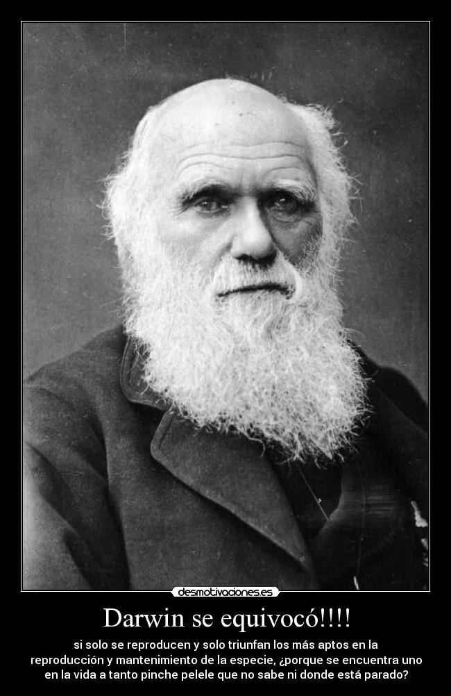 Darwin se equivocó!!!! - si solo se reproducen y solo triunfan los más aptos en la
reproducción y mantenimiento de la especie, ¿porque se encuentra uno
en la vida a tanto pinche pelele que no sabe ni donde está parado?