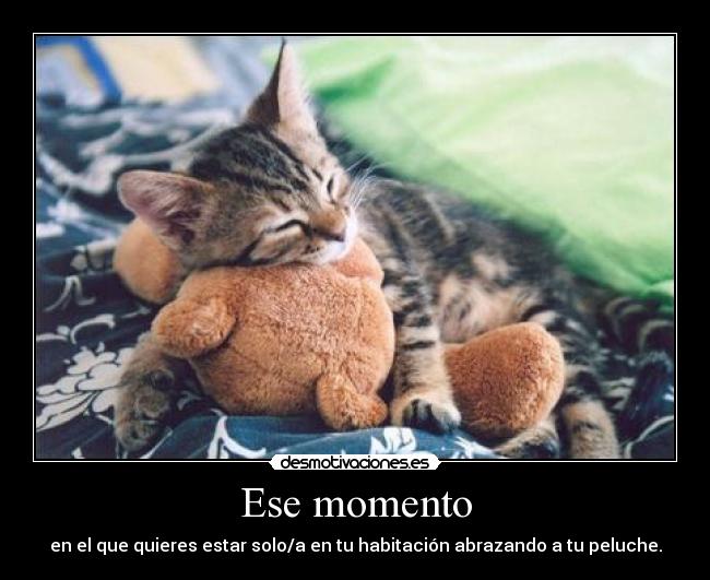 Ese momento - en el que quieres estar solo/a en tu habitación abrazando a tu peluche.