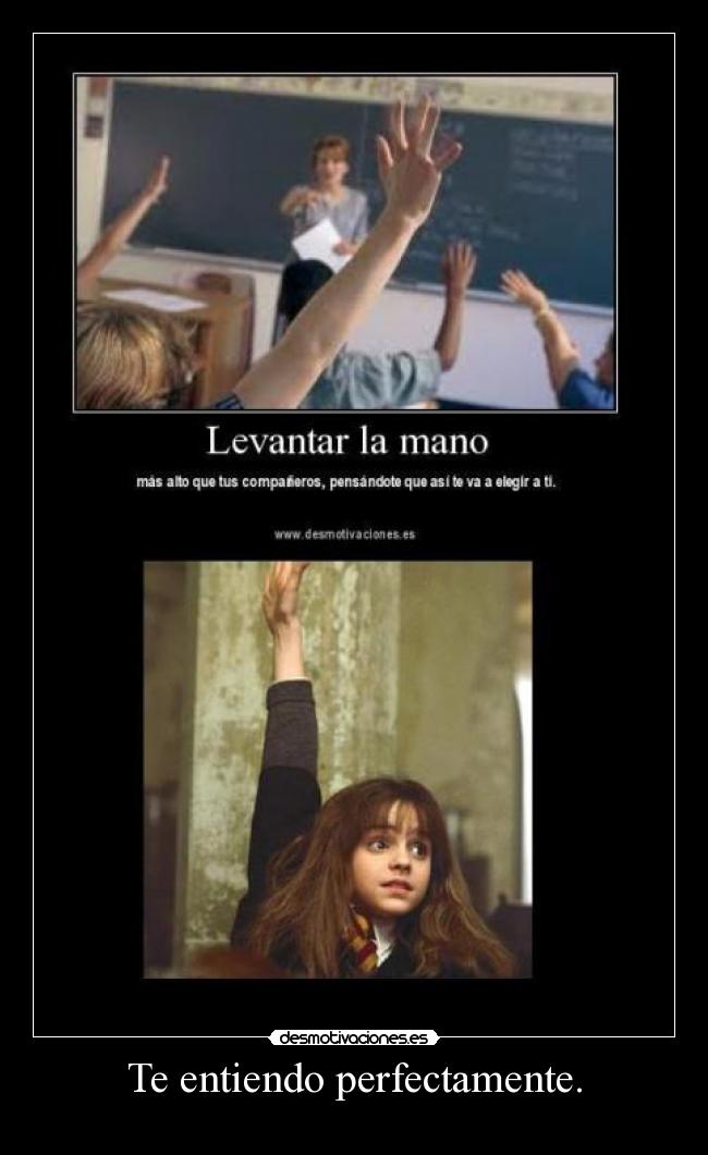 Te entiendo perfectamente. -