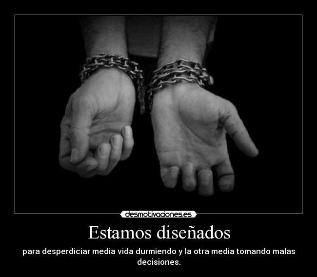 Estamos diseñados -