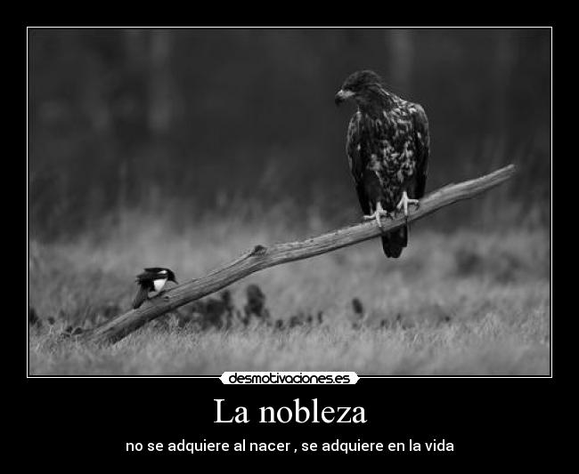 La nobleza - no se adquiere al nacer , se adquiere en la vida