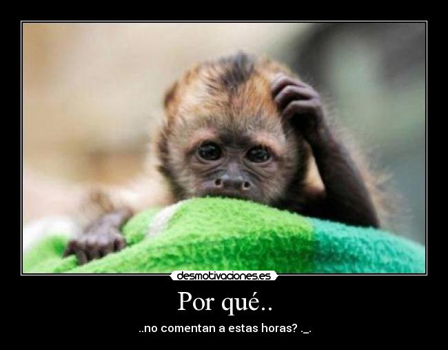 Por qué.. - 