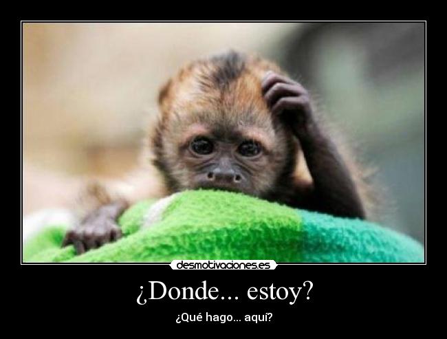 ¿Donde... estoy? - 