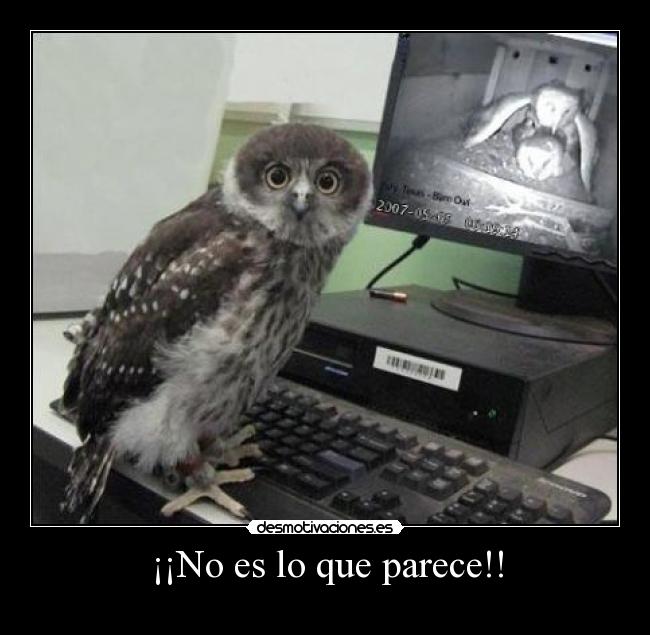 ¡¡No es lo que parece!! - 
