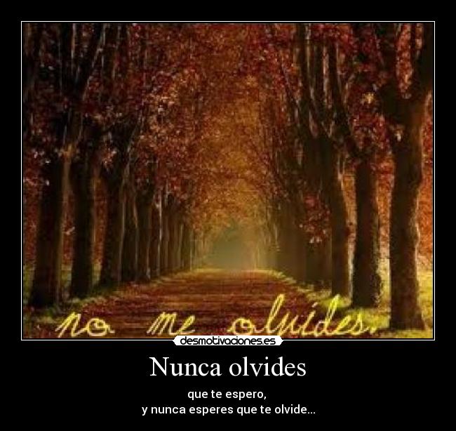 Nunca olvides -